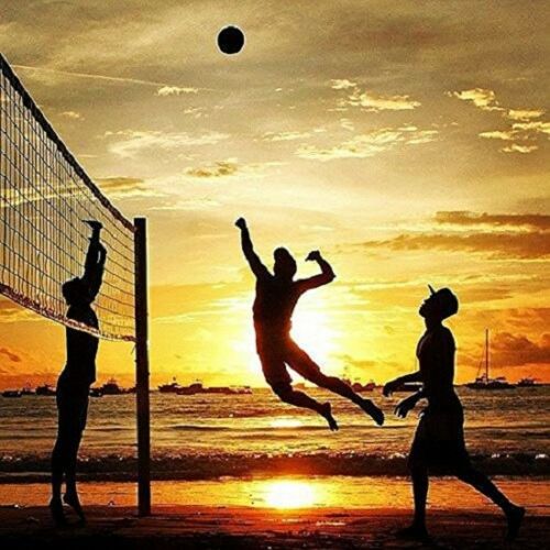 Volleyball Net With Steel Cable Rope Official Size Outdoor & Indoor 32x3ft Esa